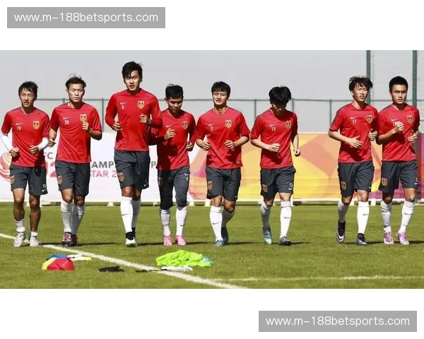 阵容国足：重塑荣光的十一人之书